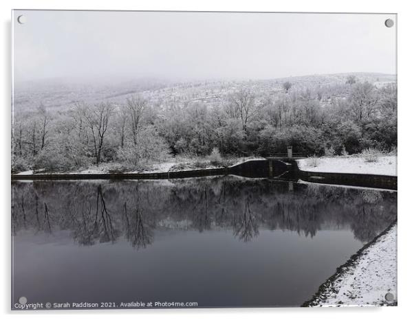 Reflecting Winter at Walkerwood Acrylic by Sarah Paddison
