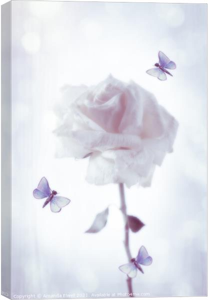 Rose With Butterflies Canvas Print by Amanda Elwell
