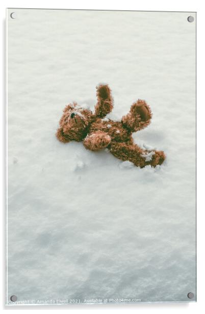 Teddy Bear In Snow Acrylic by Amanda Elwell