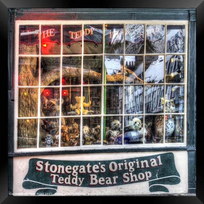 Teddy Bear Shop York  Framed Print by David Pyatt