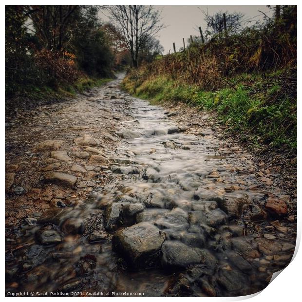 A stream running down a cobbled path Print by Sarah Paddison