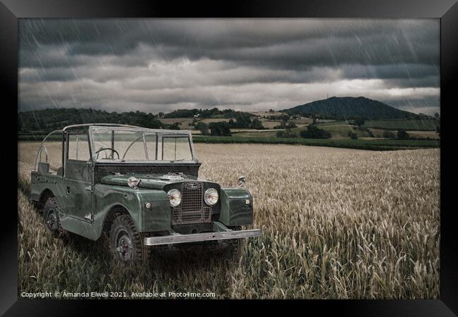 Vintage Land Rover in Field Framed Print by Amanda Elwell