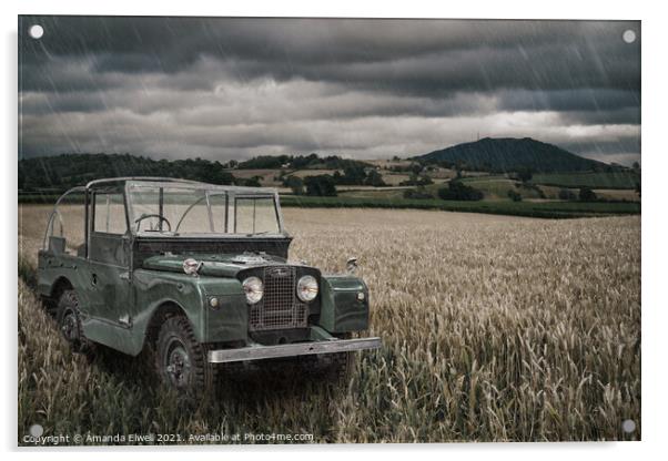Vintage Land Rover in Field Acrylic by Amanda Elwell