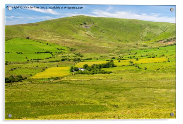 Foel Cwmcerwyn Preseli Hills North Pembrokeshire Acrylic by Nick Jenkins