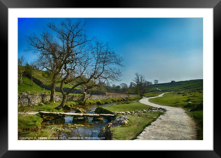 Foot Path to Malham Cove Framed Mounted Print by Angela Wallace