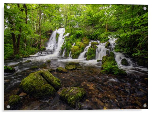 A waterfall in a forest Acrylic by Eirik Sørstrømmen