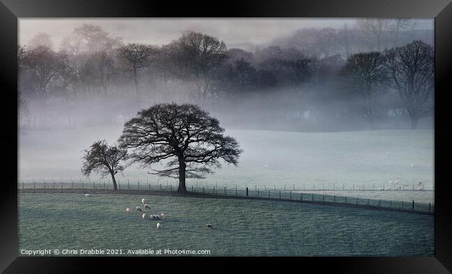 Mist inversion in the Derwent Valley (1) Framed Print by Chris Drabble