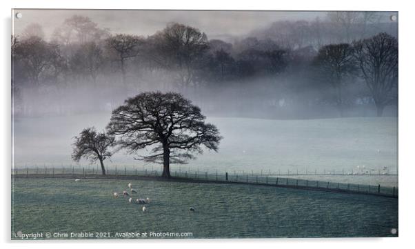 Mist inversion in the Derwent Valley (1) Acrylic by Chris Drabble