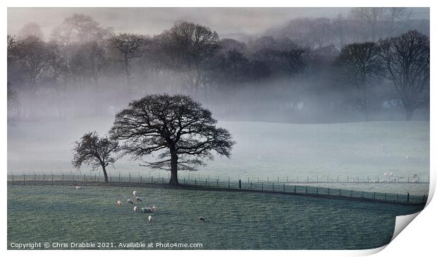 Mist inversion in the Derwent Valley (1) Print by Chris Drabble