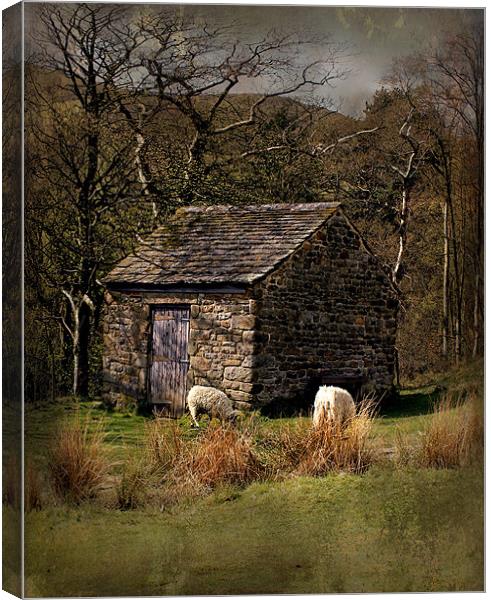 edale sheep hut Canvas Print by Martin Parkinson