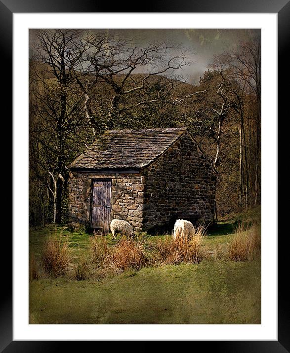 edale sheep hut Framed Mounted Print by Martin Parkinson