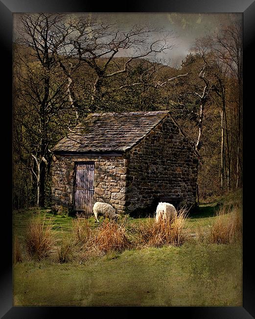 edale sheep hut Framed Print by Martin Parkinson