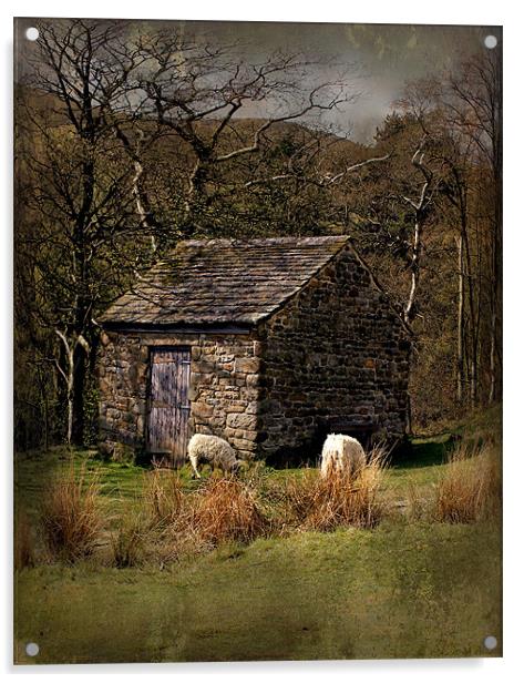 edale sheep hut Acrylic by Martin Parkinson