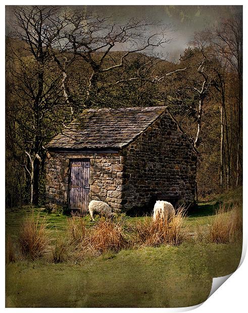 edale sheep hut Print by Martin Parkinson