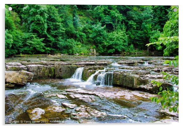 Aysgarth Falls top flight of the waterfalls Acrylic by Terry Senior