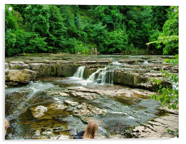 Aysgarth Falls top flight of the waterfalls Acrylic by Terry Senior