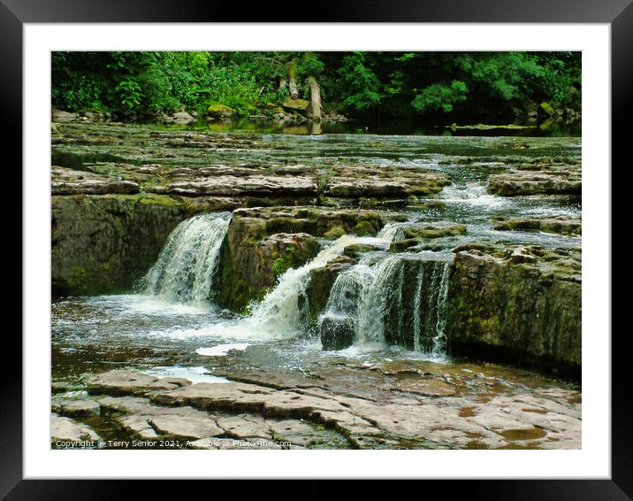 Aysgarth Falls top flight of the waterfalls Framed Mounted Print by Terry Senior