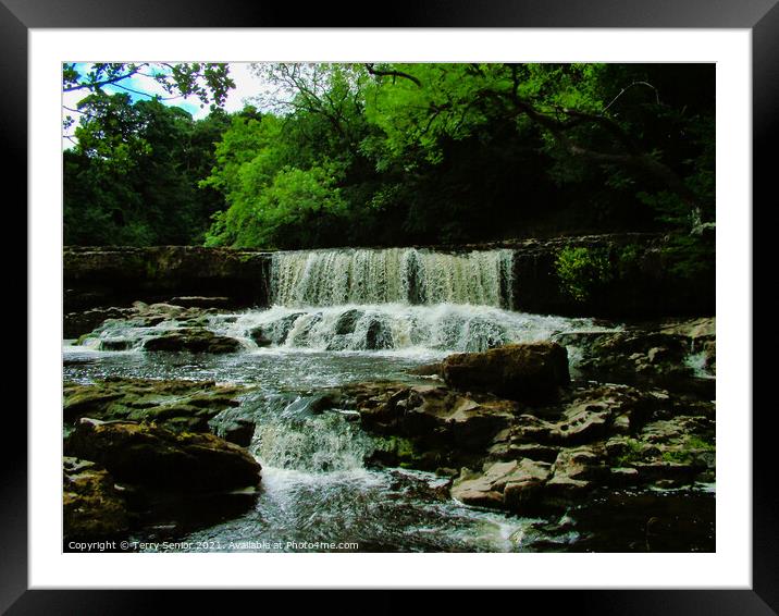 Aysgarth Falls a triple flight of waterfalls Framed Mounted Print by Terry Senior
