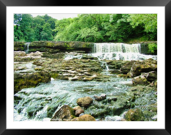 Aysgarth Falls a triple flight of waterfalls, surr Framed Mounted Print by Terry Senior
