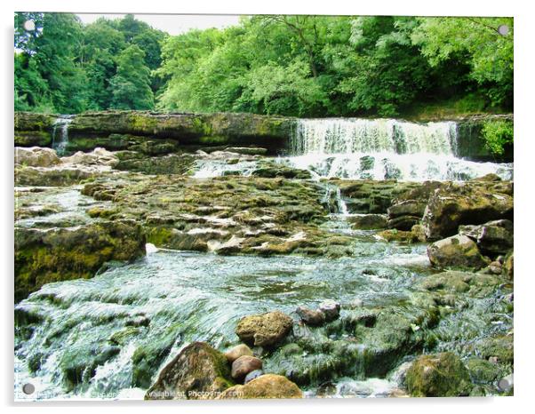 Aysgarth Falls a triple flight of waterfalls, surr Acrylic by Terry Senior