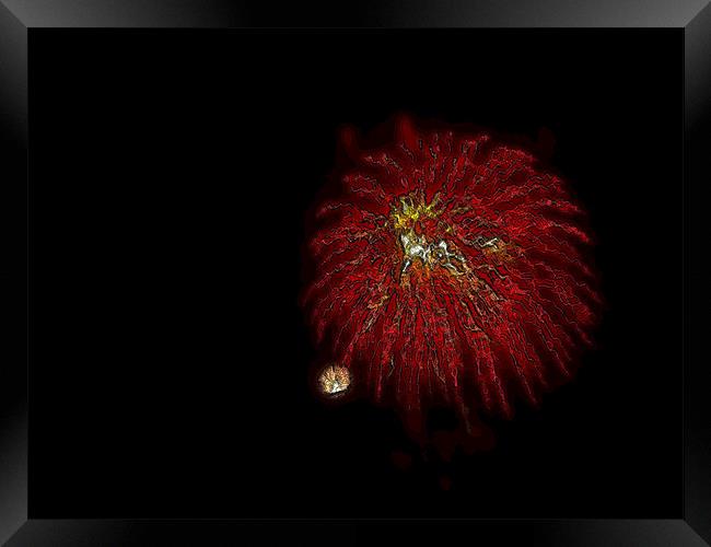 Fireworks in red Framed Print by Patti Barrett