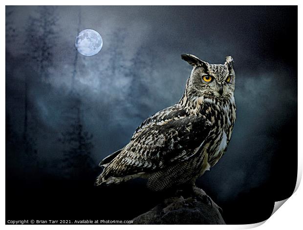 The Nightwatch Owl Print by Brian Tarr