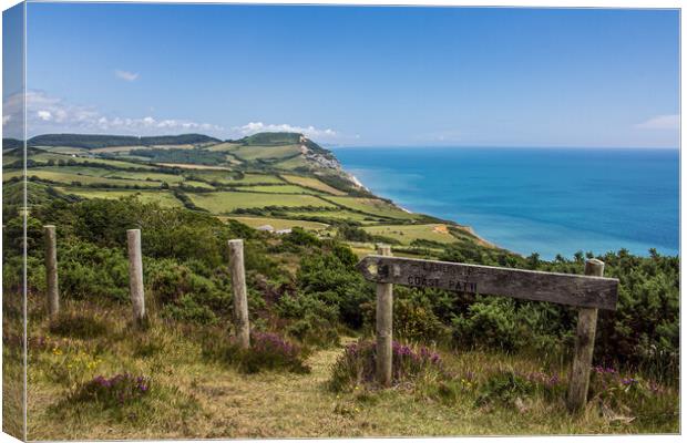 Diverted Coastal Path Canvas Print by Wendy Williams CPAGB