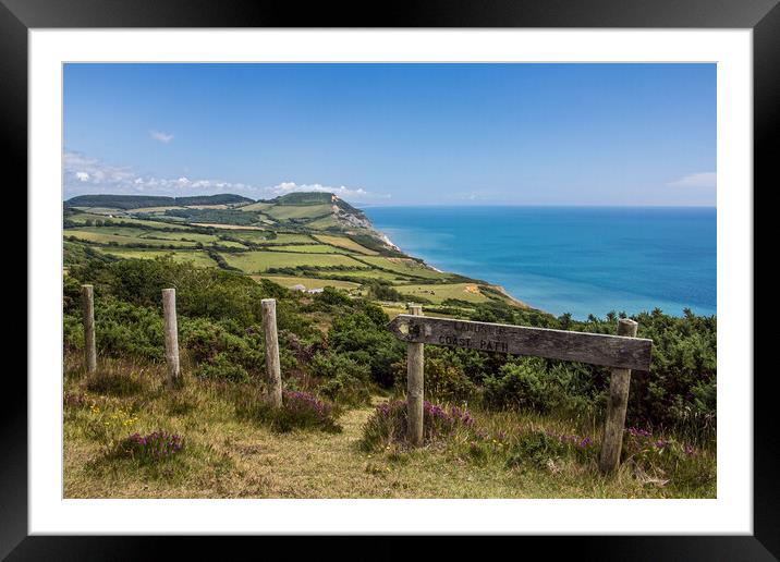 Diverted Coastal Path Framed Mounted Print by Wendy Williams CPAGB