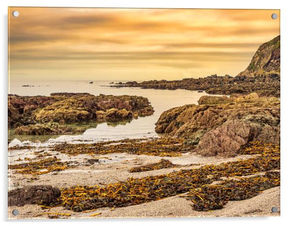 Seaweed, Cornwall, England, UK Acrylic by Mark Llewellyn