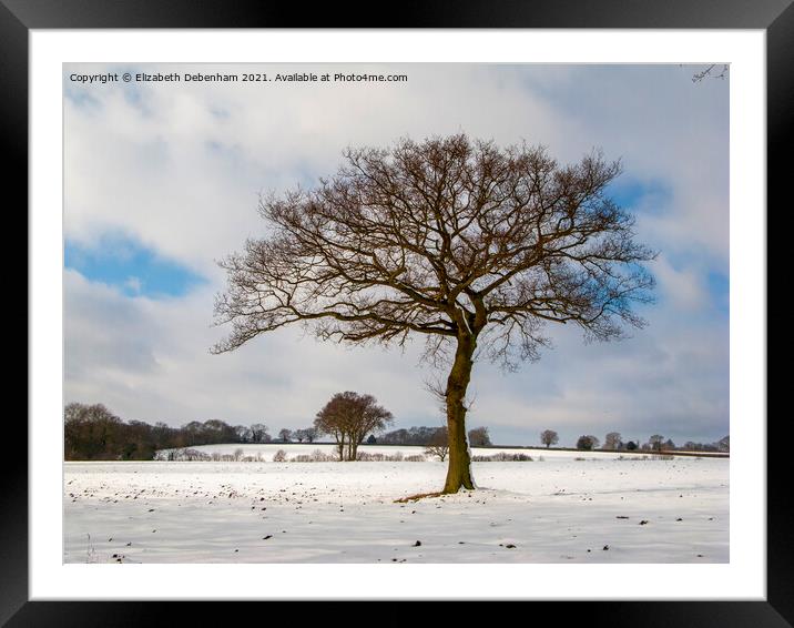 Lone Oak tree in Snow Framed Mounted Print by Elizabeth Debenham