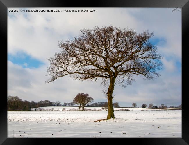 Lone Oak tree in Snow Framed Print by Elizabeth Debenham