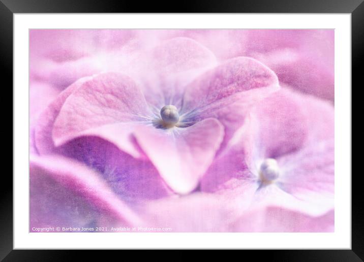 Passionate Blooms Framed Mounted Print by Barbara Jones