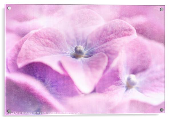 Passionate Blooms Acrylic by Barbara Jones