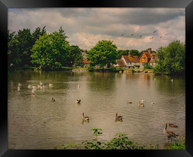 Falmer Village Duck Pond Framed Print by Chris Lord