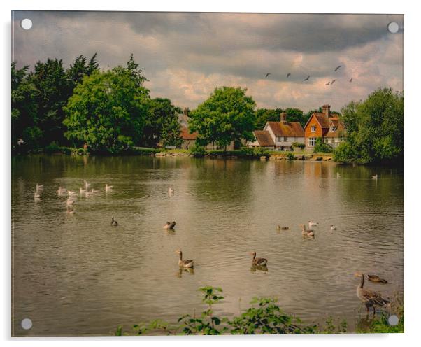 Falmer Village Duck Pond Acrylic by Chris Lord