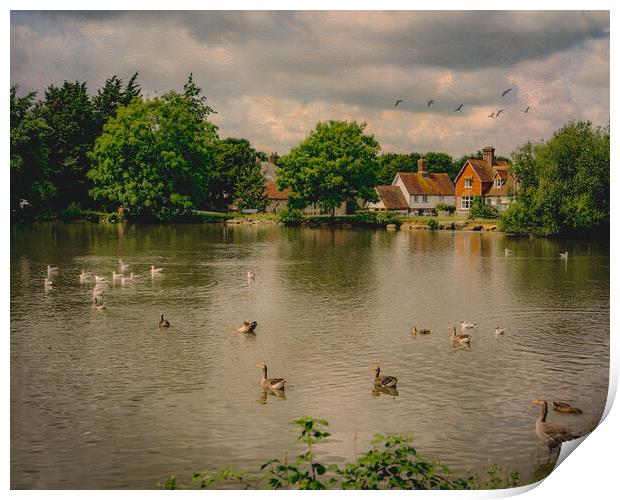 Falmer Village Duck Pond Print by Chris Lord
