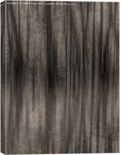 Flood -Black and white Canvas Print by Aimie Burley