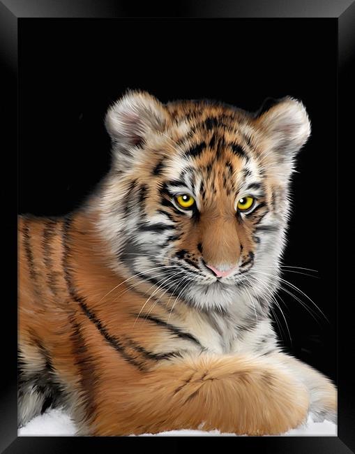 Amur Tiger Framed Print by Julie Hoddinott