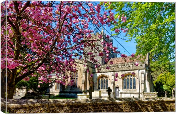 The Minster Church of St Denys, Warminster, UK Canvas Print by Andrew Harker