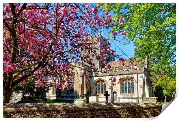 The Minster Church of St Denys, Warminster, UK Print by Andrew Harker