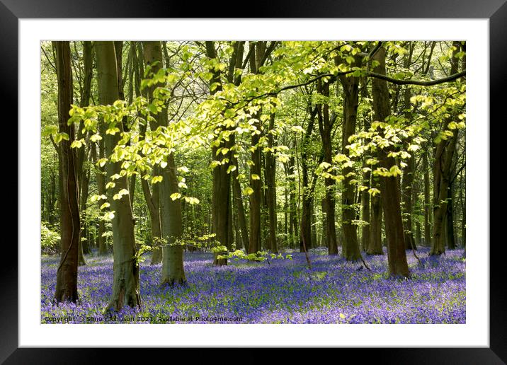 Sunlit bluebell woodland Framed Mounted Print by Simon Johnson