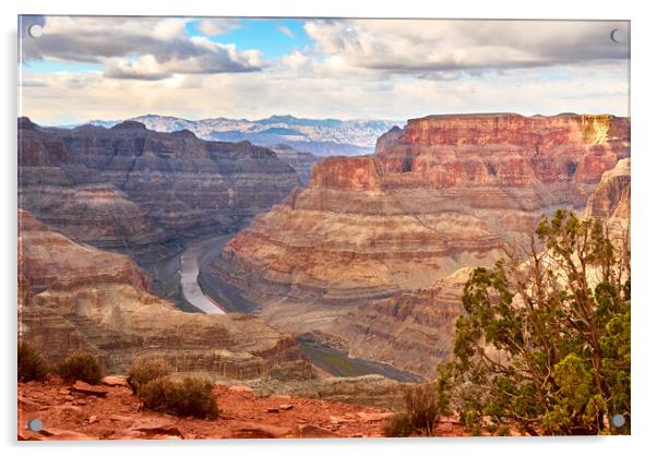 Grand Canyon - West Rim Acrylic by Jim Hughes