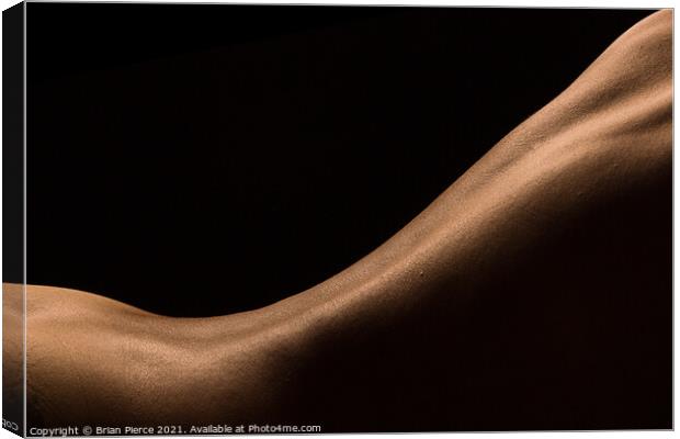 Art-Nude Bodyscape Canvas Print by Brian Pierce
