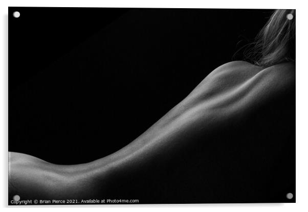 Bodyscape - Fine Art Nude Acrylic by Brian Pierce
