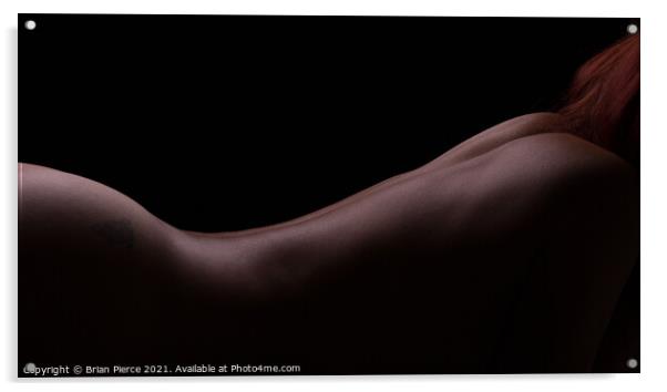 Bodyscape - Fine Art Nude Acrylic by Brian Pierce