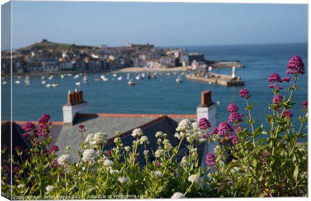St Ives Harbour through the Valerian  Canvas Print by Brian Pierce