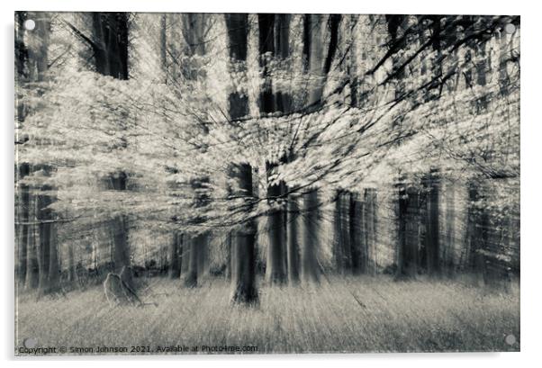 Sunlit Woodland Acrylic by Simon Johnson