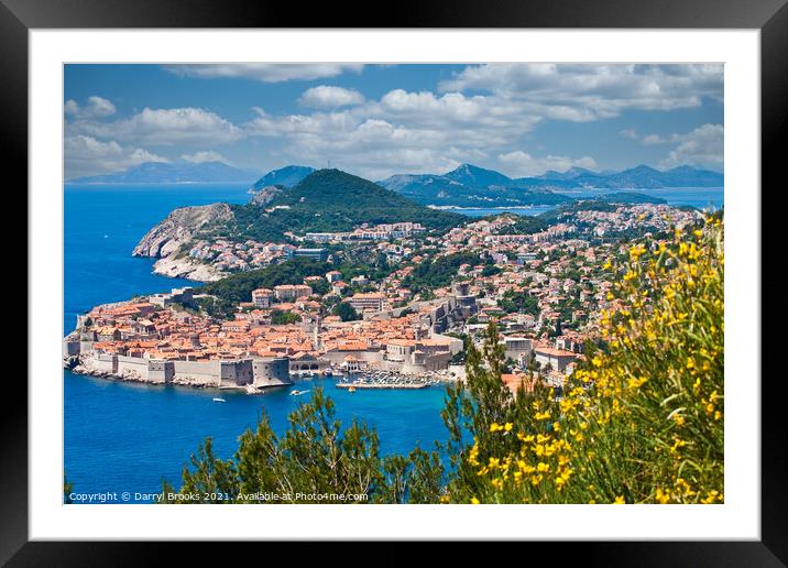 Beautiful Dubrovnik Past Yellow Flowers Framed Mounted Print by Darryl Brooks
