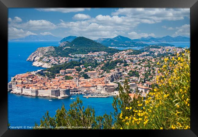 Beautiful Dubrovnik Past Yellow Flowers Framed Print by Darryl Brooks