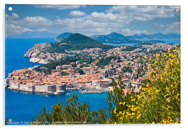 Beautiful Dubrovnik Past Yellow Flowers Acrylic by Darryl Brooks